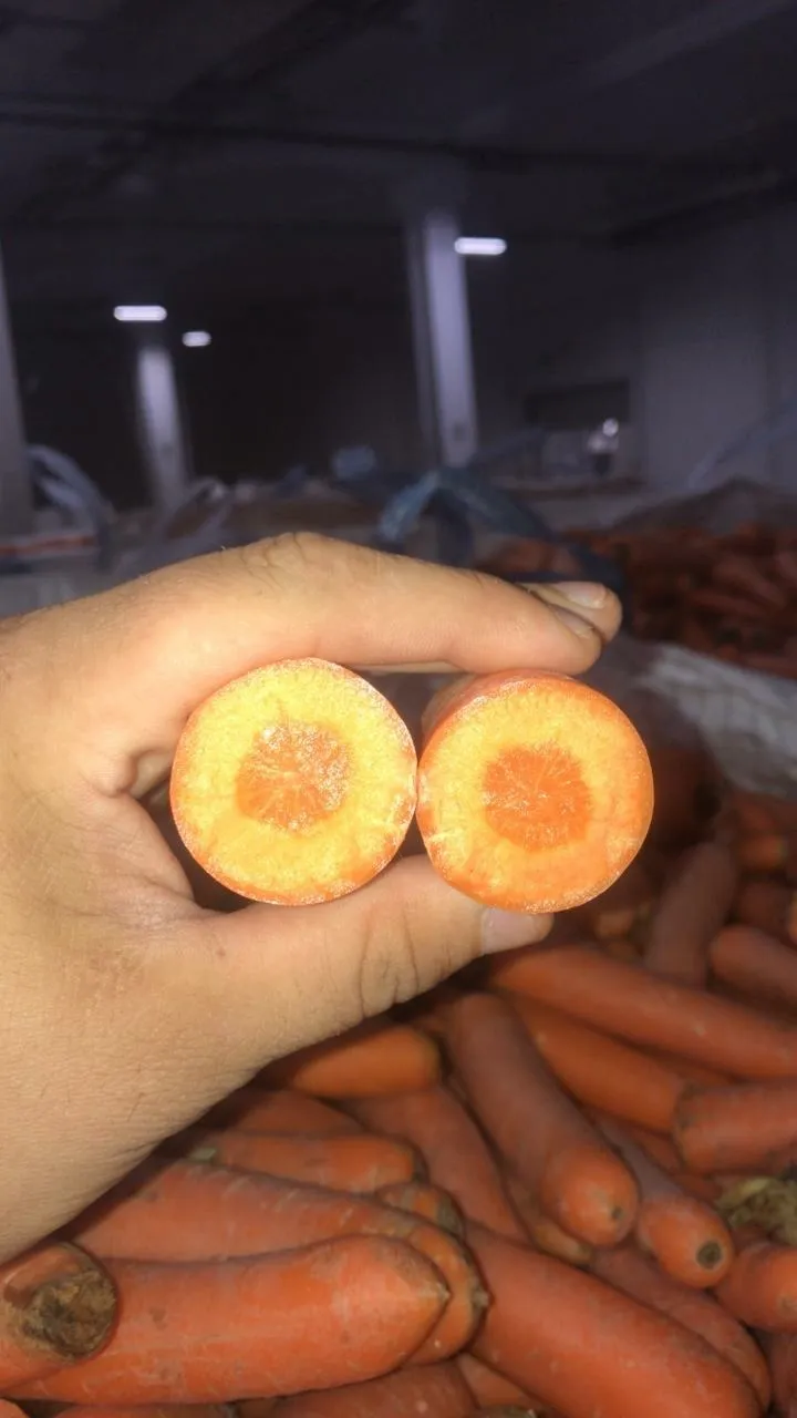 фотография продукта морковь