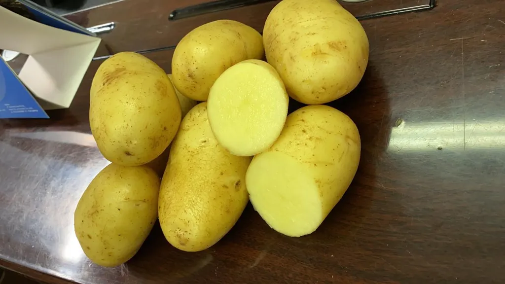 Фотография продукта картофель