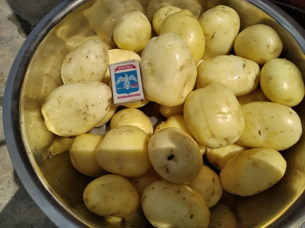 фотография продукта картофель
