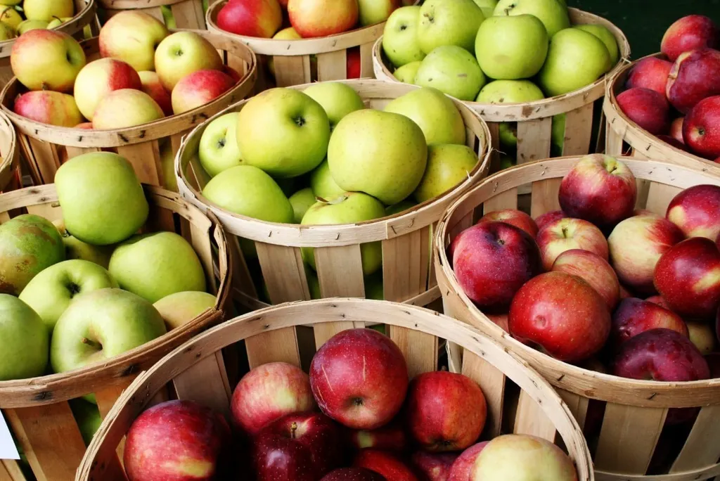 фотография продукта яблоки разных сортов 