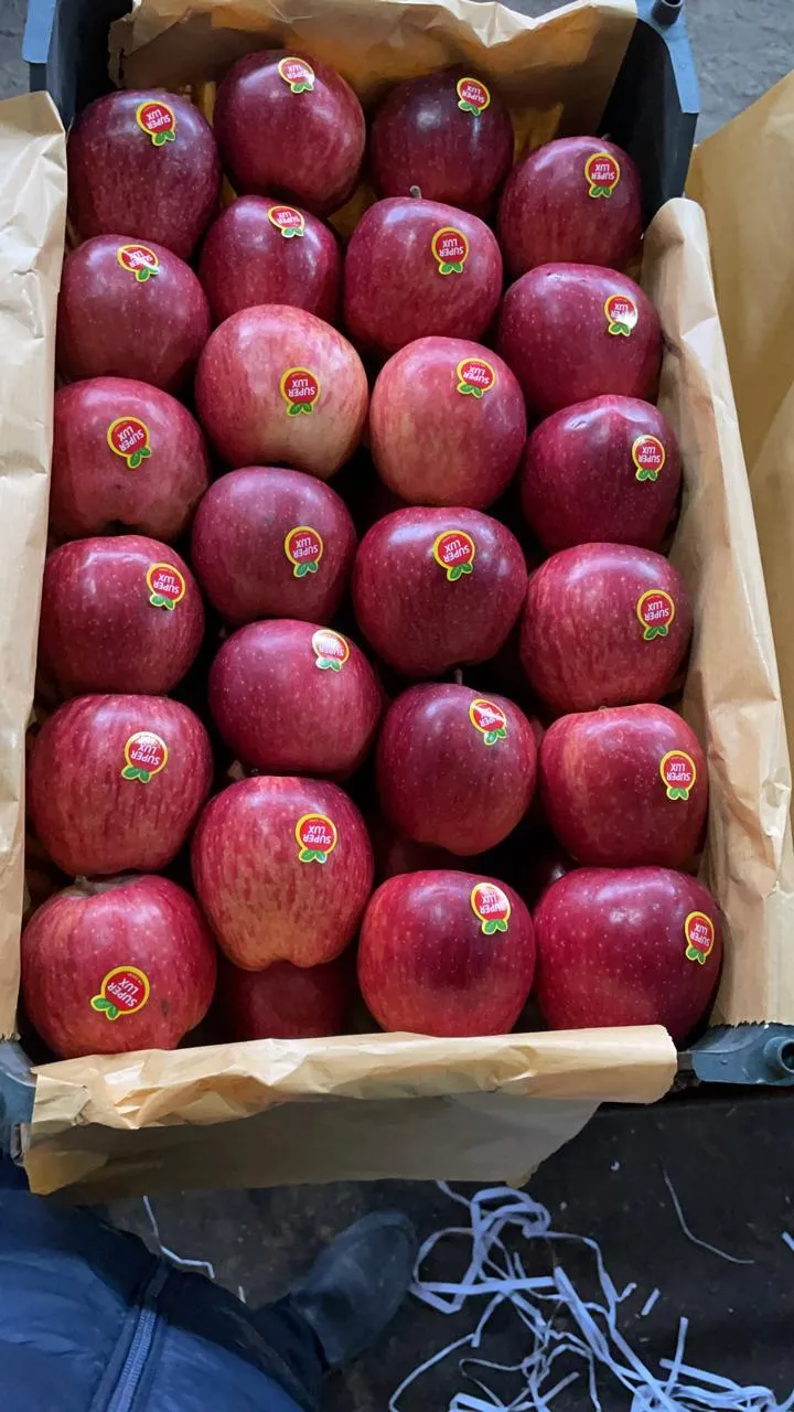 фотография продукта свежие яблоки