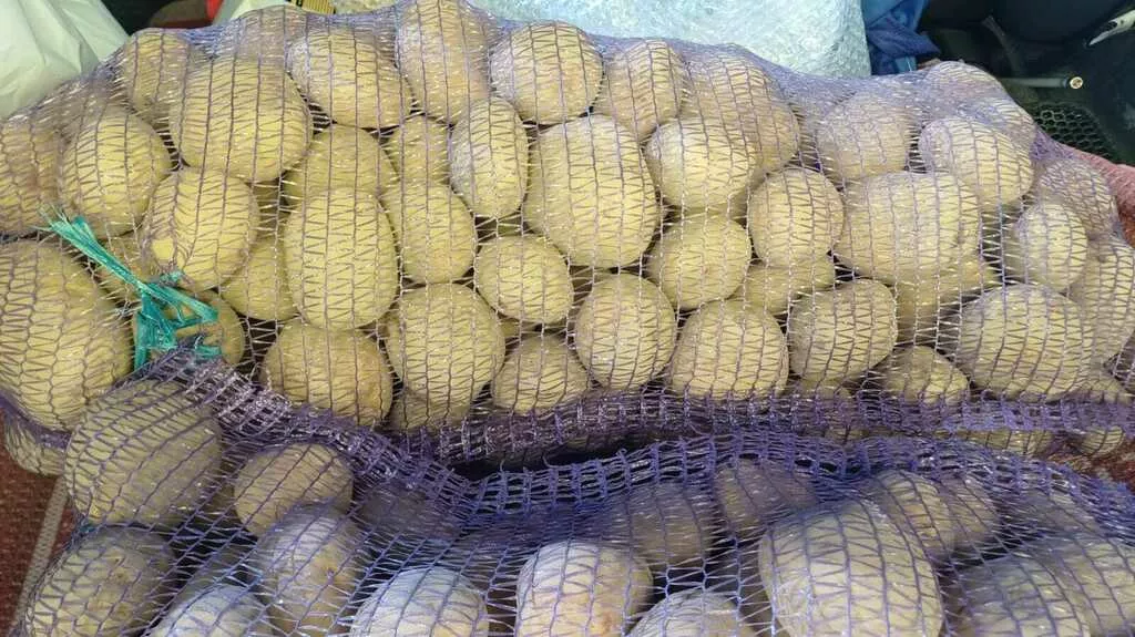 фотография продукта Оптом свежий картофель в москве