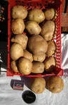 картофель Беларусь в Москве 2
