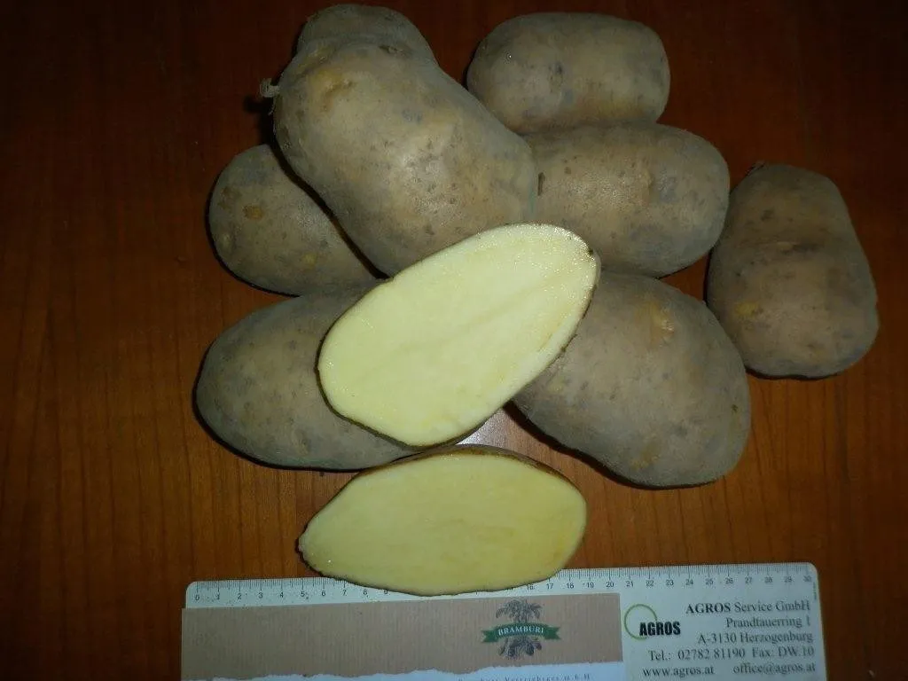 австрийскй картофель в Москве