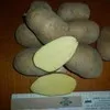 отборный картофель из  в Москве