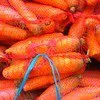 морковь в Новочеркасске