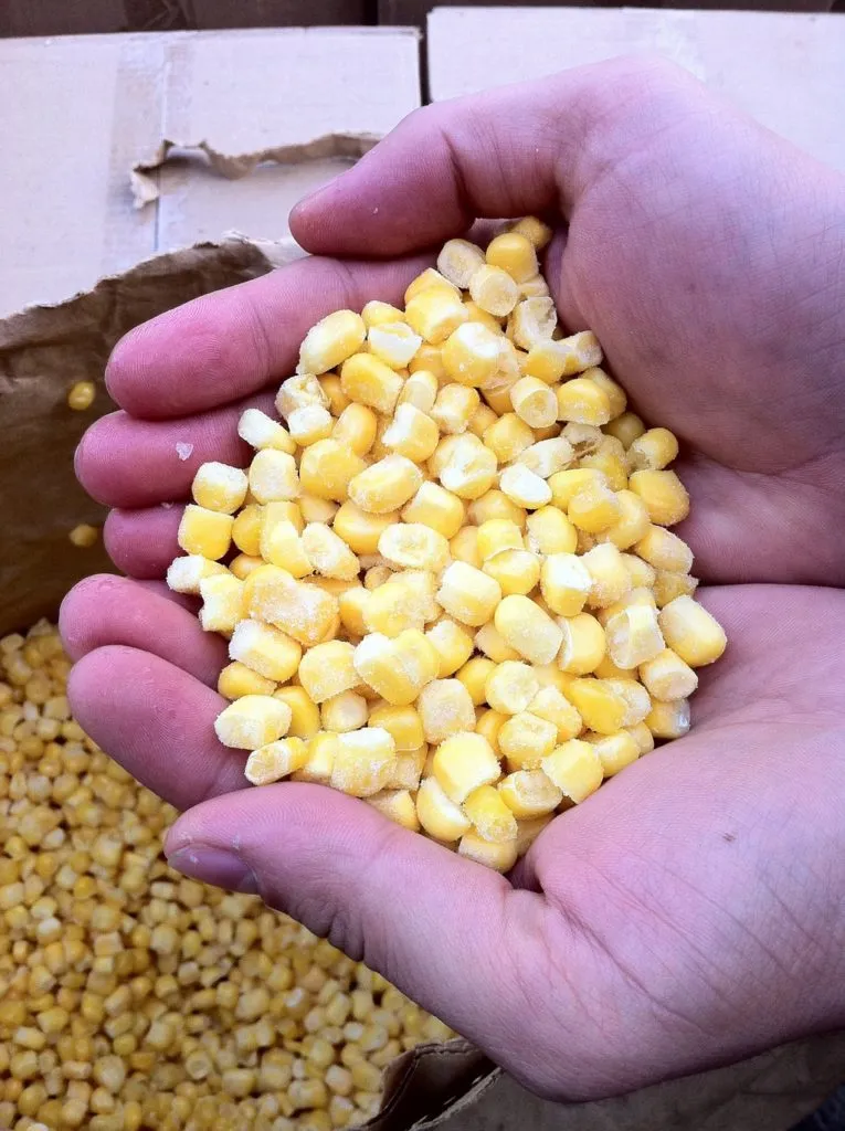 фотография продукта замороженная кукуруза- зерно - 2013г.
