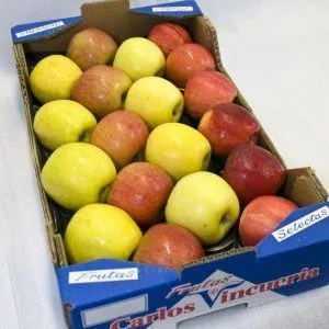 экспорт  овощей и фруктов в Москве 8