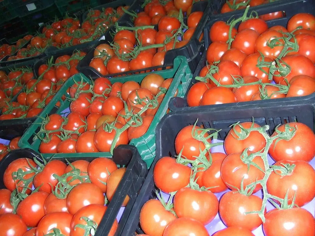 экспорт  овощей и фруктов в Москве 7