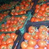 экспорт  овощей и фруктов в Москве 7