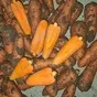 морковь 20,00 руб за кг. в Ростове-на-Дону и Ростовской области 2