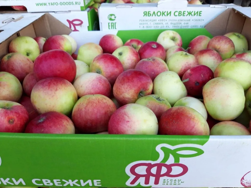 яблоки оптом от производителя 2022 в Самаре и Самарской области 2