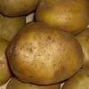 выращиваем и продаем картофель в Москве