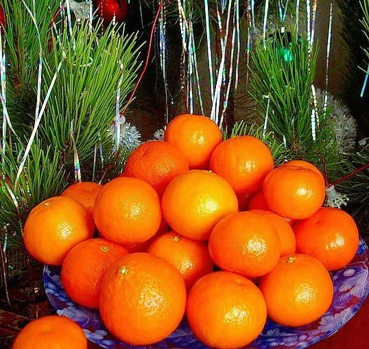 мандарины апельсины в Москве