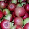экспорт яблок из РП - холодильники в Уганде 3