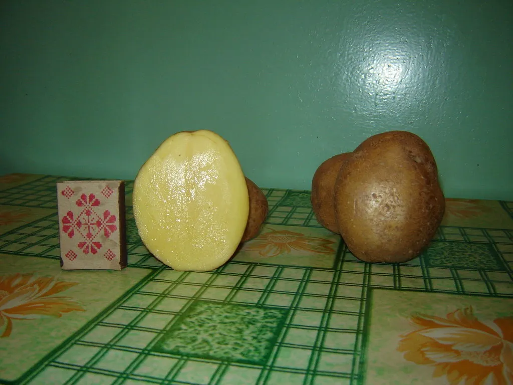 картофель в Москве