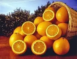 апельсины в Москве