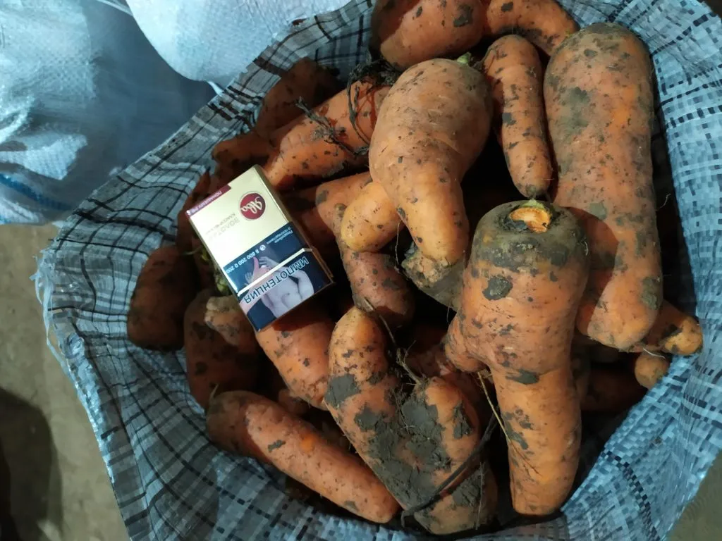 фотография продукта Морковь 2 сорт (сорт Каскад