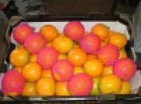 апельсины 7,4 грн/кг в Москве