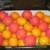 апельсины 7,4 грн/кг в Москве