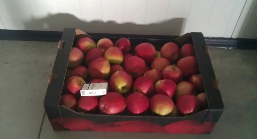молдавские яблоки в Молдавии
