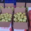 яблоки в Азербайджане 2