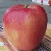яблоки в Азербайджане