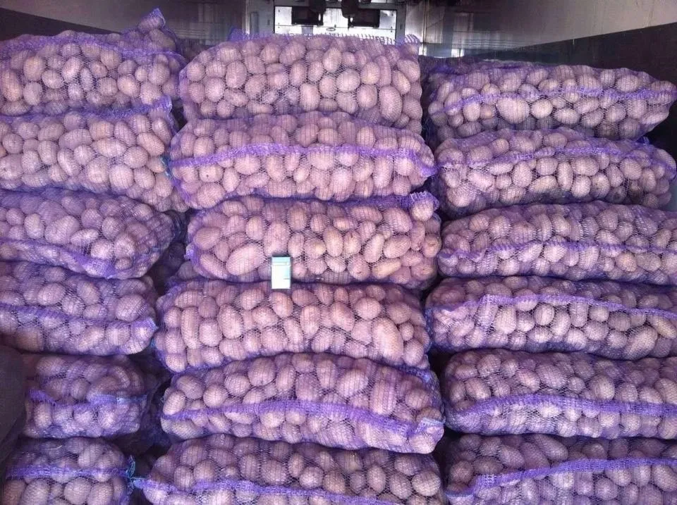 картофель в Республике Беларусь