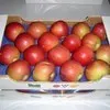 сербские яблоки в Москве