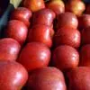 поставки яблок в: Kz, Tj, Uz, Kgz, Tkm.. 3