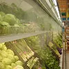 система туманообразования для фруктов в Краснодаре