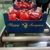 продаем овощи в Санкт-Петербурге 4
