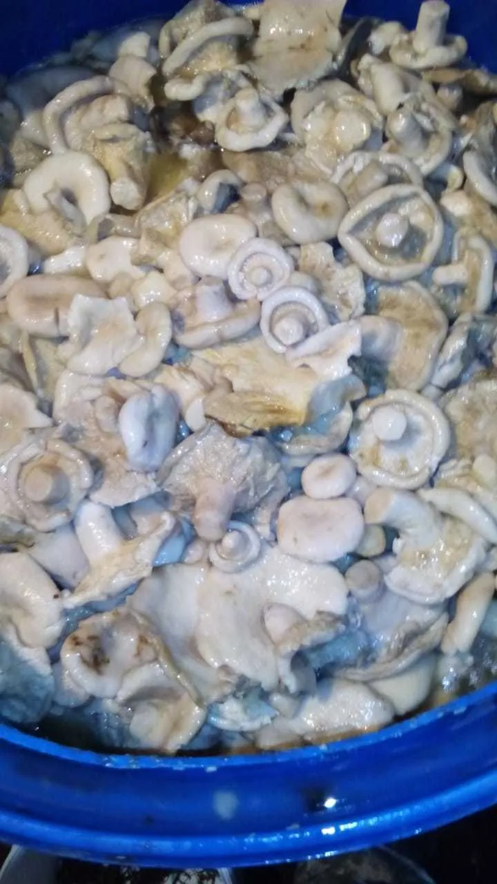  грибы грузди оптом в Хабаровске 6