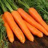 морковь оптом в Козьмодемьянске