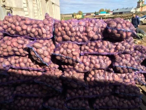 картофель оптом в Козьмодемьянске