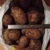 качественный Тамбовский картофель!!! в Мичуринске 2