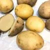 картофель семенной  в Иванове 3