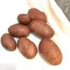картофель семенной  в Иванове 5
