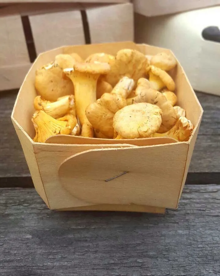 фотография продукта Лукошки для грибов