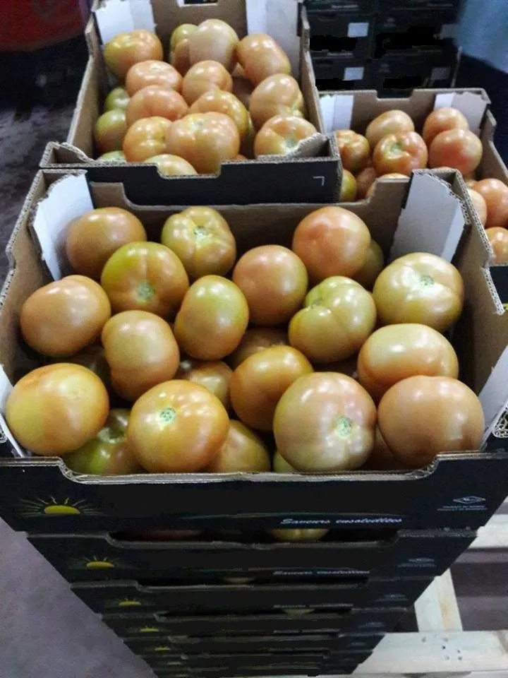 томаты Марокко  в Санкт-Петербурге 2
