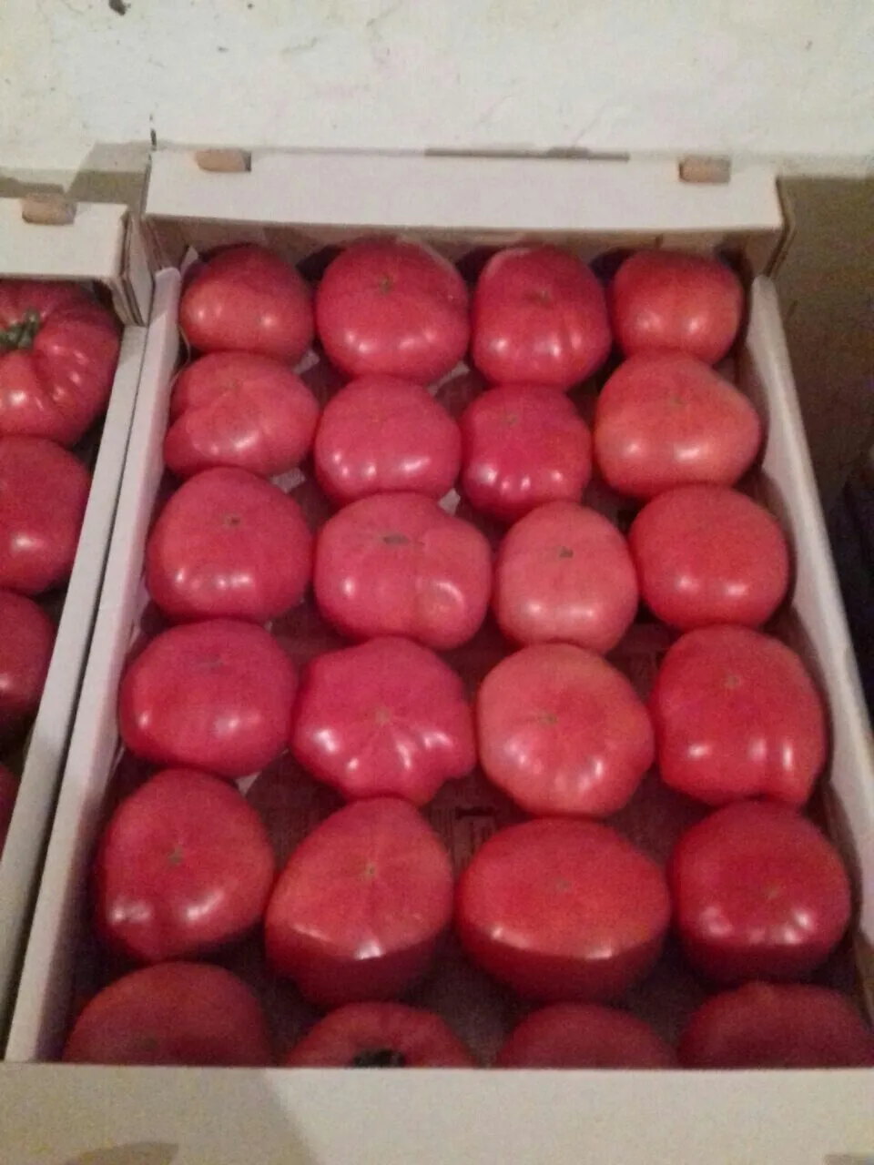 томаты оптом от 20 тонн в Омске 4