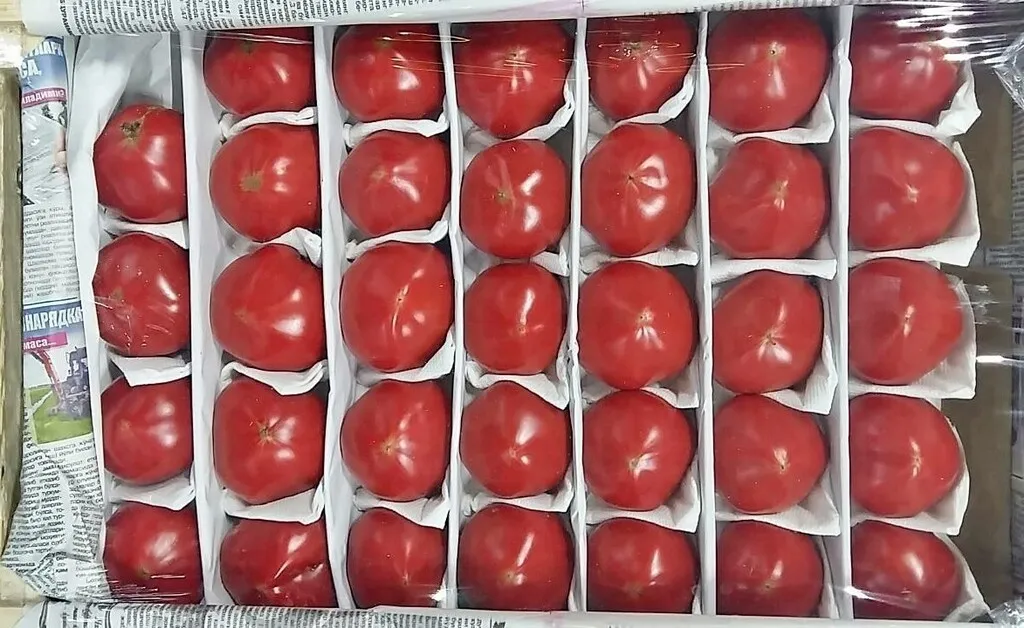 томаты оптом от 20 тонн в Омске 3