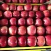 яблоки Ред Чиф в Майкопе и Республике Адыгея