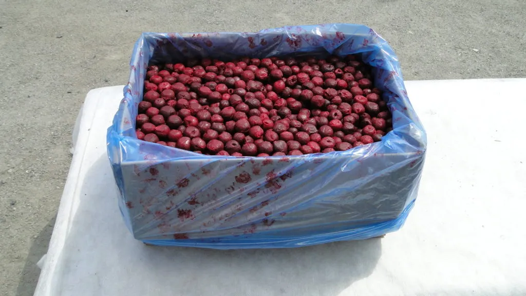свежезамороженные ягоды, грибы  в Челябинске 17