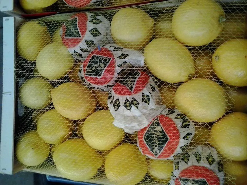фотография продукта Лимоны из марокко