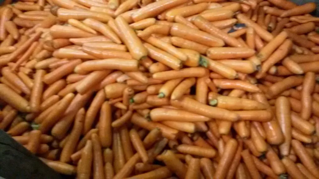 фотография продукта Реализуем  мытую морковь 2 сорта