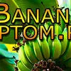 бананы оптом в разные страны из Эквадора в Эквадоре