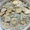 грибы грузди боровые солёно-отварные в Омске 5