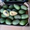 авокадо из Марокко в Санкт-Петербурге