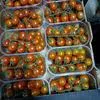 предлагаем фрукты и овощи Из Марокко в Марокко 9
